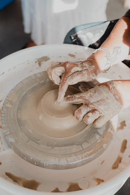 Beginner 4-week  Course